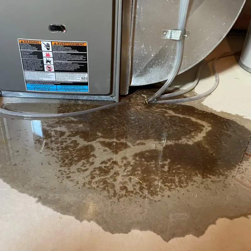 Appliance Leak Cleanup in Radford, VA