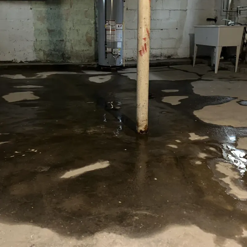 Emergency Water Extraction And Removal in Radford, VA